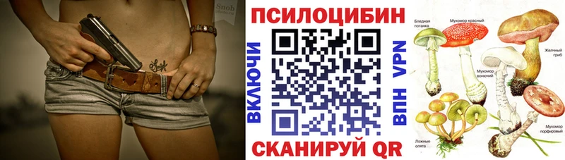 Галлюциногенные грибы Psilocybe  как найти закладки  Белозерск 